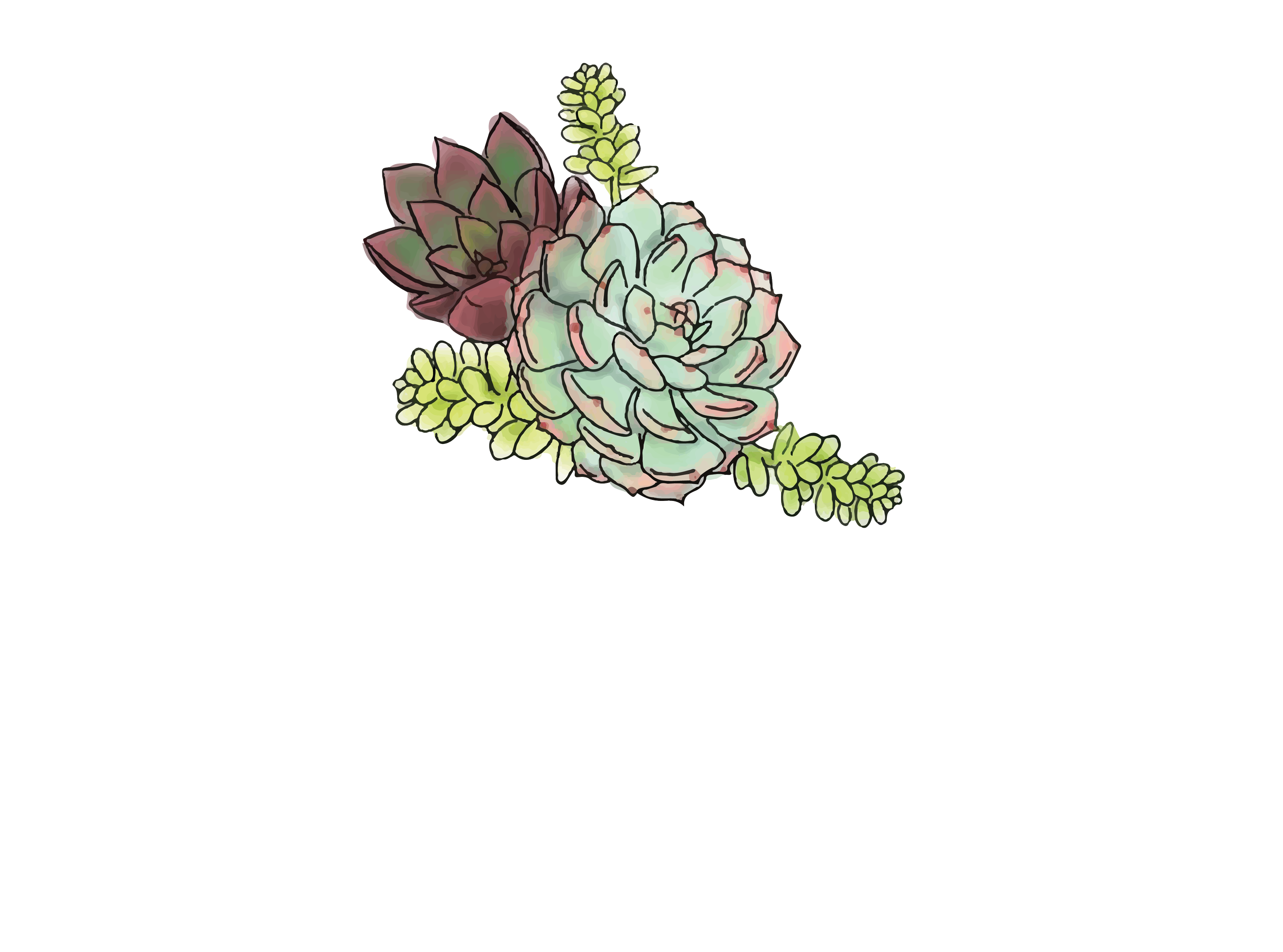 Artful Succulents logo